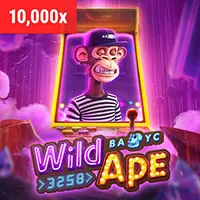 Đối tác B hài lòng với s88vip